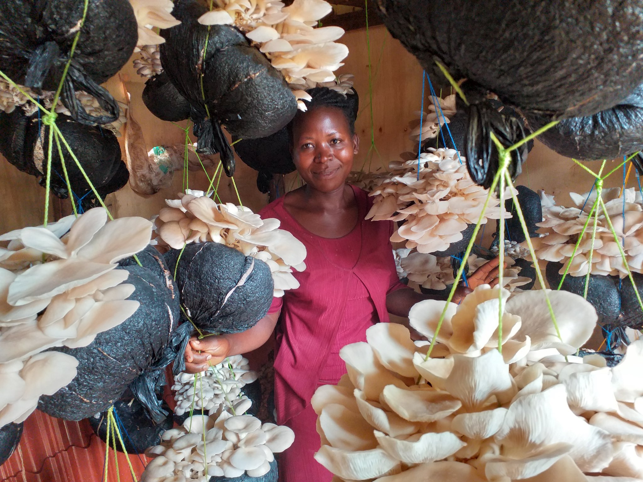 MAMAH Thrive Fund